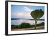 Cactus Tree Above the Kazinga Channel Linking Lake George and Lake Edward at Sunset-Michael-Framed Photographic Print