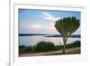 Cactus Tree Above the Kazinga Channel Linking Lake George and Lake Edward at Sunset-Michael-Framed Photographic Print