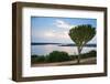 Cactus Tree Above the Kazinga Channel Linking Lake George and Lake Edward at Sunset-Michael-Framed Photographic Print