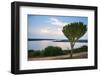 Cactus Tree Above the Kazinga Channel Linking Lake George and Lake Edward at Sunset-Michael-Framed Photographic Print