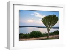 Cactus Tree Above the Kazinga Channel Linking Lake George and Lake Edward at Sunset-Michael-Framed Photographic Print