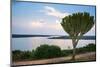 Cactus Tree Above the Kazinga Channel Linking Lake George and Lake Edward at Sunset-Michael-Mounted Photographic Print