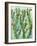 Cactus Vines-Bee Sturgis-Framed Art Print