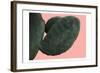 Cactus Wall-Sheldon Lewis-Framed Art Print