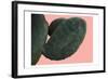 Cactus Wall-Sheldon Lewis-Framed Art Print