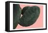 Cactus Wall-Sheldon Lewis-Framed Stretched Canvas