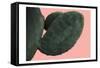 Cactus Wall-Sheldon Lewis-Framed Stretched Canvas