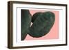 Cactus Wall-Sheldon Lewis-Framed Art Print