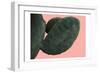 Cactus Wall-Sheldon Lewis-Framed Art Print