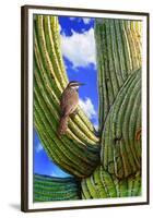 Cactus Wren-Chris Vest-Framed Premium Giclee Print