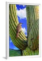 Cactus Wren-Chris Vest-Framed Premium Giclee Print