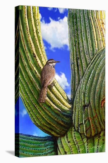 Cactus Wren-Chris Vest-Stretched Canvas