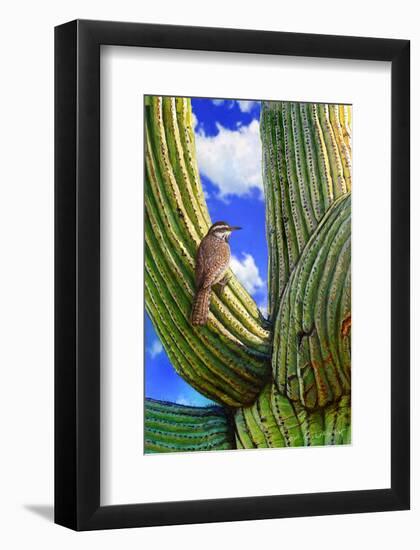 Cactus Wren-Chris Vest-Framed Art Print