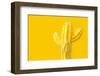 Cactus Yellow Color for Background-oatintro-Framed Photographic Print