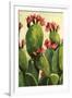 Cactus-Boho Hue Studio-Framed Art Print