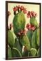 Cactus-Boho Hue Studio-Framed Art Print