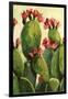 Cactus-Boho Hue Studio-Framed Art Print