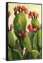 Cactus-Boho Hue Studio-Framed Stretched Canvas