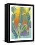 Cactus-David Chestnutt-Framed Stretched Canvas