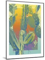 Cactus-David Chestnutt-Mounted Premium Giclee Print
