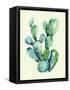 Cactus-Heaven on 3rd-Framed Stretched Canvas