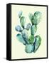 Cactus-Heaven on 3rd-Framed Stretched Canvas