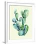 Cactus-Heaven on 3rd-Framed Art Print