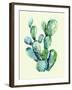 Cactus-Heaven on 3rd-Framed Art Print