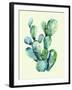 Cactus-Heaven on 3rd-Framed Art Print