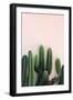 Cactus-Incado-Framed Photographic Print