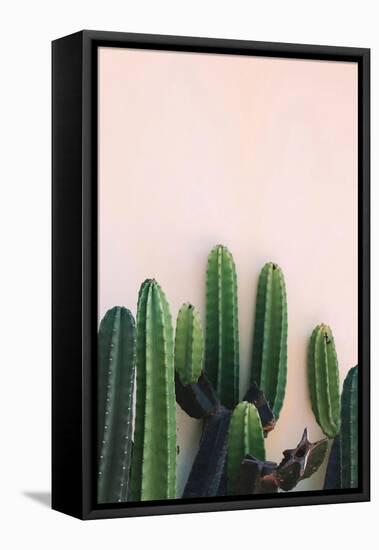 Cactus-Incado-Framed Stretched Canvas