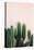 Cactus-Incado-Stretched Canvas