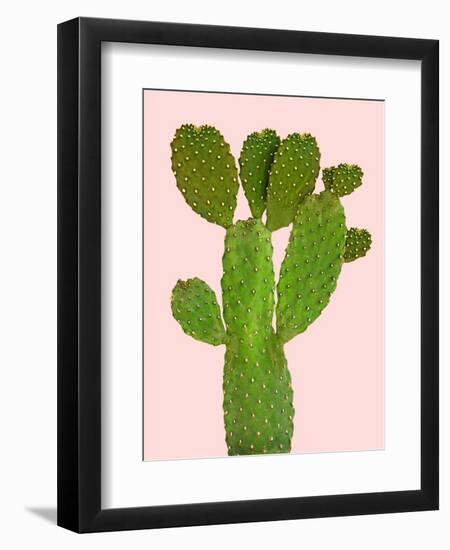 Cactus-Jensen Adamsen-Framed Art Print