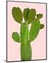 Cactus-Jensen Adamsen-Mounted Art Print