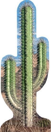 Cardboard Cutouts, , large