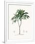 Gramercy White