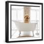 Black Frame