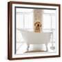 Brown Frame