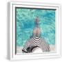 White Frame