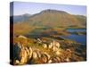 Cadair Idris Mountain and Gregennen Lake (National Trust), Snowdonia National Park, Gwynedd-Duncan Maxwell-Stretched Canvas