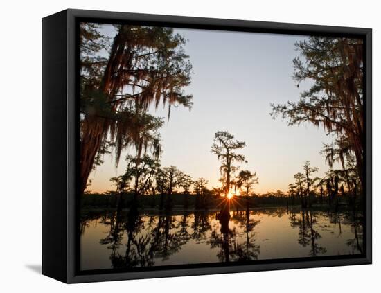 Caddo Lake at Sunrise, Marion Co., Texas, Usa-Larry Ditto-Framed Stretched Canvas