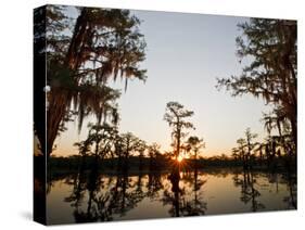 Caddo Lake at Sunrise, Marion Co., Texas, Usa-Larry Ditto-Stretched Canvas
