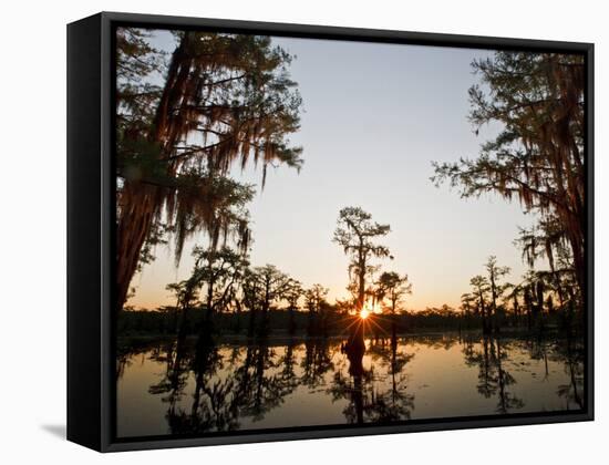 Caddo Lake at Sunrise, Marion Co., Texas, Usa-Larry Ditto-Framed Stretched Canvas