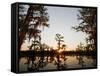 Caddo Lake at Sunrise, Marion Co., Texas, Usa-Larry Ditto-Framed Stretched Canvas