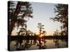 Caddo Lake at Sunrise, Marion Co., Texas, Usa-Larry Ditto-Stretched Canvas