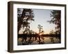 Caddo Lake at Sunrise, Marion Co., Texas, Usa-Larry Ditto-Framed Photographic Print