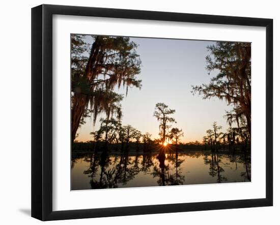 Caddo Lake at Sunrise, Marion Co., Texas, Usa-Larry Ditto-Framed Photographic Print