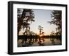 Caddo Lake at Sunrise, Marion Co., Texas, Usa-Larry Ditto-Framed Photographic Print