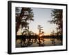 Caddo Lake at Sunrise, Marion Co., Texas, Usa-Larry Ditto-Framed Photographic Print