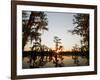 Caddo Lake at Sunrise, Marion Co., Texas, Usa-Larry Ditto-Framed Photographic Print